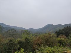 -黄埔油麻山森林公园