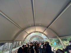 -人民公园-相亲角