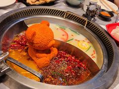 小熊鸳鸯锅-红辣椒·川菜·火锅(张杨路店)