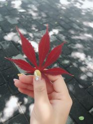 -美糖美甲美睫连锁