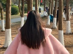 -白鹭湾湿地公园