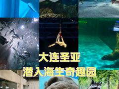 -大连圣亚海洋世界