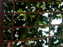 -兰陵国家农业公园