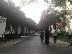 -山东师范大学(千佛山校区)