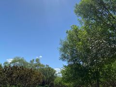 -永定河休闲森林公园