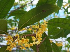 -西安软件新城软件研发基地2期