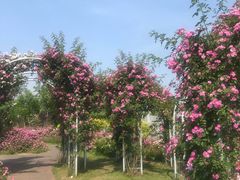 -尚贤河湿地