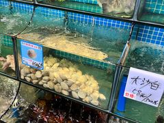 -范饭椰林川湘味海鲜·椰子鸡(三亚湾椰梦长廊店)