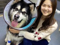 -爱侣宠医·鹦鹉专科·小型哺乳类·异宠专科(灵石路店)