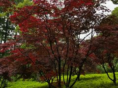 -兰亭风景区
