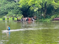 -晓港公园