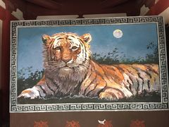 -龙口南山旅游景区