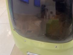 -北京观赏动物医院·24小时大型综合·猫专科·异宠专科