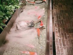 大堂-0776食堂·京城创意菜(七里庄店)