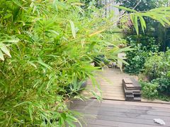 -静颐茶馆·素食(龙华店)