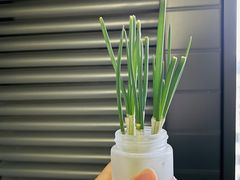 -久光freshmart鲜品馆(尚嘉中心店)