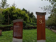 -白鹭湾湿地公园