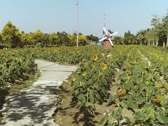 -广东花都香草世界旅游度假区
