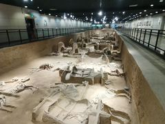 -洛阳周王城天子驾六博物馆