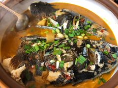 -千岛湖小鱼儿·淳安匠心农家菜