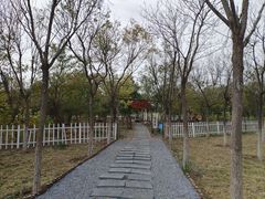 -天津东丽湖风景区