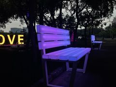 -枫花园汽车电影院(朝阳公园店)