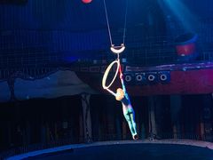 -大连圣亚海洋世界
