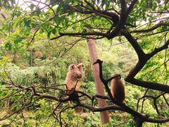 -黔灵山公园-南门售票处