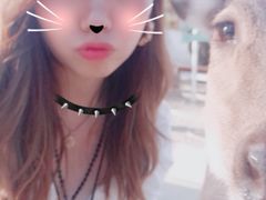 -鹿境梅花鹿生态园区
