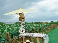 -七的湖·晚芳亭·阳澄湖农家菜·大闸蟹(莲花岛店)