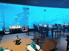 大堂-海棠湾洲际-涛·海底餐厅·美人鱼·自助餐·海底隧道