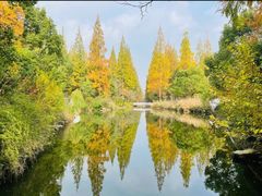 -上海老范农家乐(崇明前卫村店)