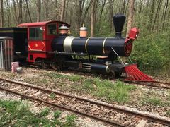 -合肥滨湖国家森林公园