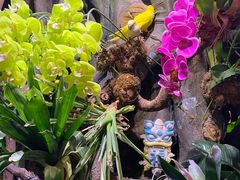 -正佳雨林生态植物园