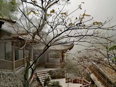 -藏龙百瀑风景区