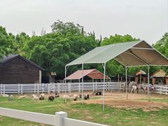 -白马涧龙池景区