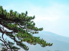 -妙峰山风景名胜区