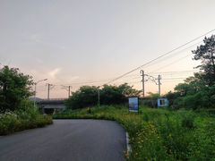 -青龙山国家森林公园