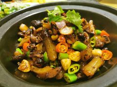 小香菇焖蹄筋-鸡毛店·川菜(双楠店)