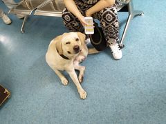 -北京赛佳动物医院