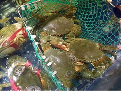 iphone_upload_pic-三辣馆