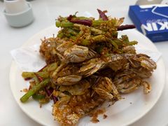 -小海丁