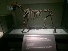 -大庆市博物馆