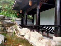 -乐山乌木文化博览苑