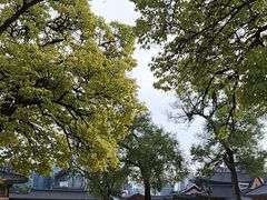 -景福宫