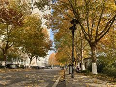 -华莱士·全鸡汉堡(佛城西路店)