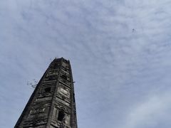 -上海佘山国家森林公园天马山园