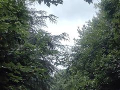 -惠山国家森林公园