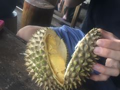 -宝盛园民宿