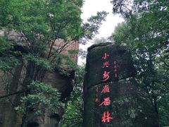 -汤旺河林海奇石景区